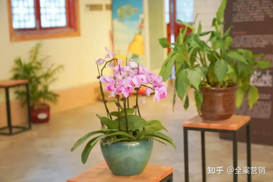 争创天府旅游名县|2023开年旅行,来华蓥赴一场冬日风雅之约