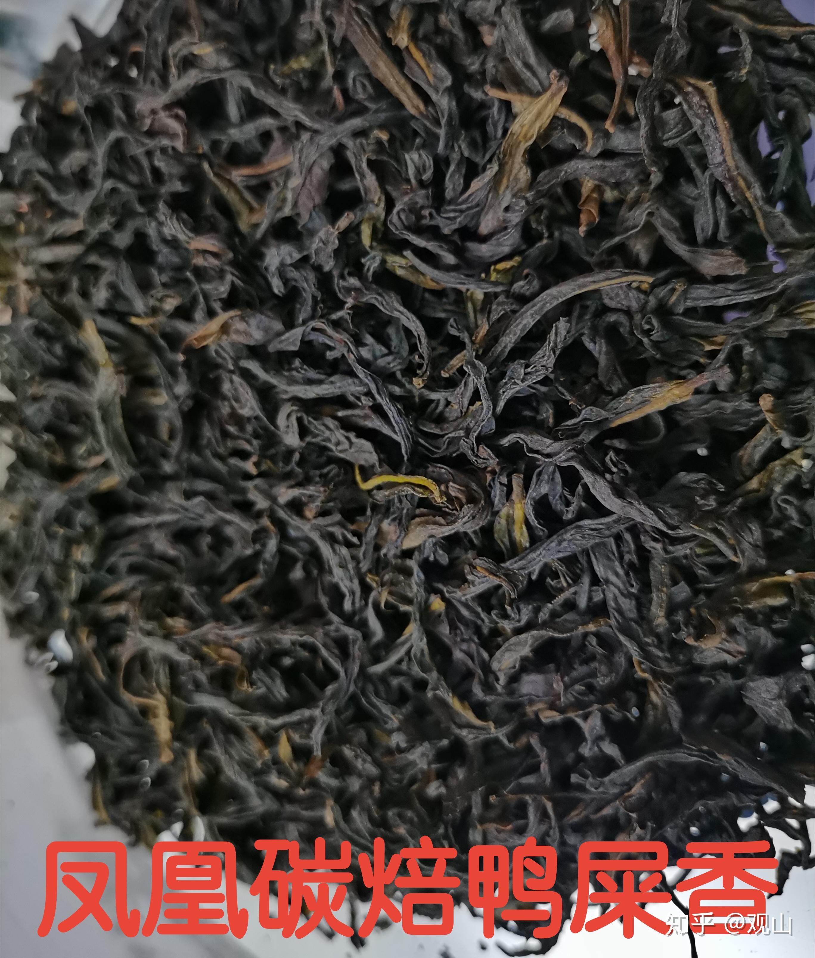 凤凰单丛茶:鸭屎香