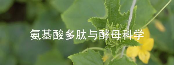 动图封面