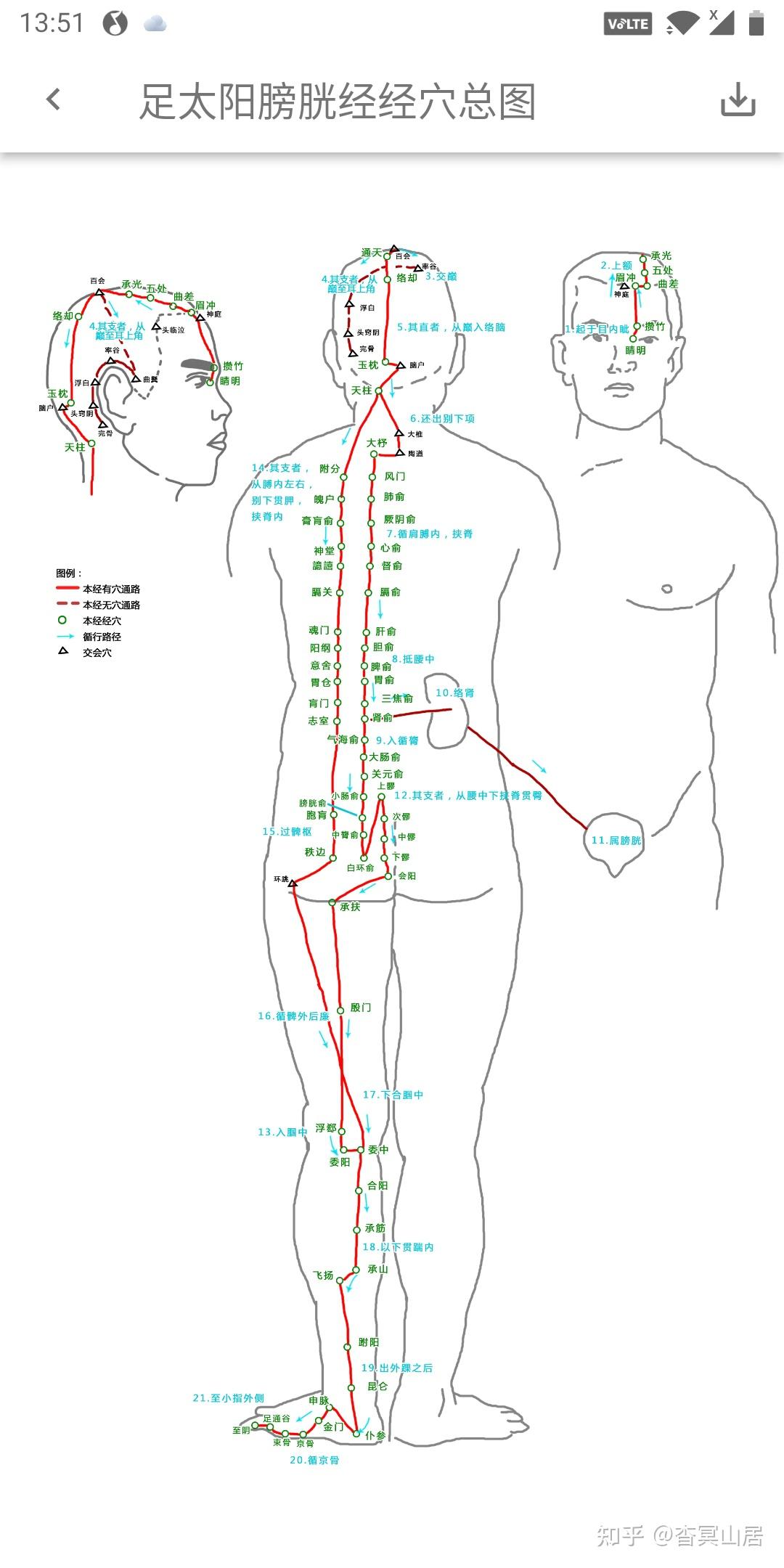 腿部膀胱经络图及走向图片