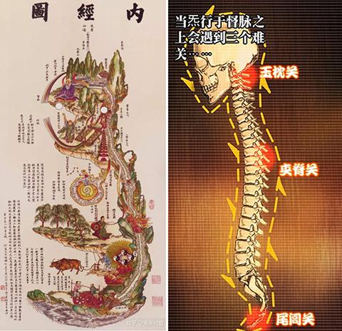 气血充盈.引动了任督二脉相对深层次的气血运