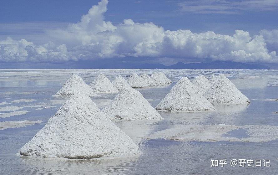 古代百姓买不起食盐,那他们烧菜用什么代替? - 知乎