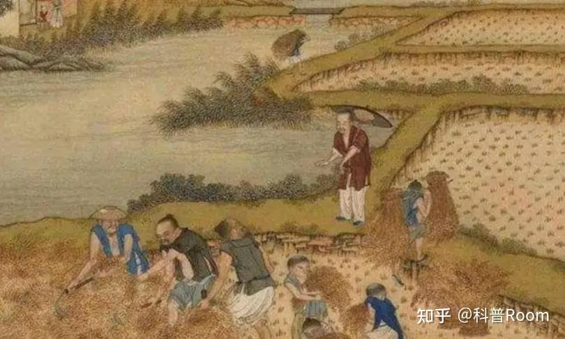 摊丁入亩—现金的税收制度