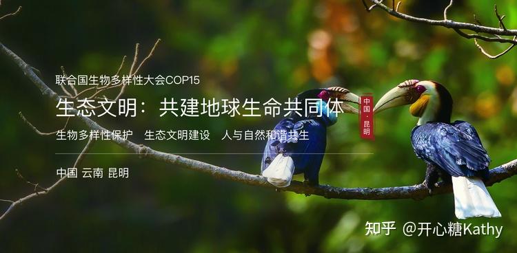 cop15春城之邀生物多样性公约第十五次缔约方大会