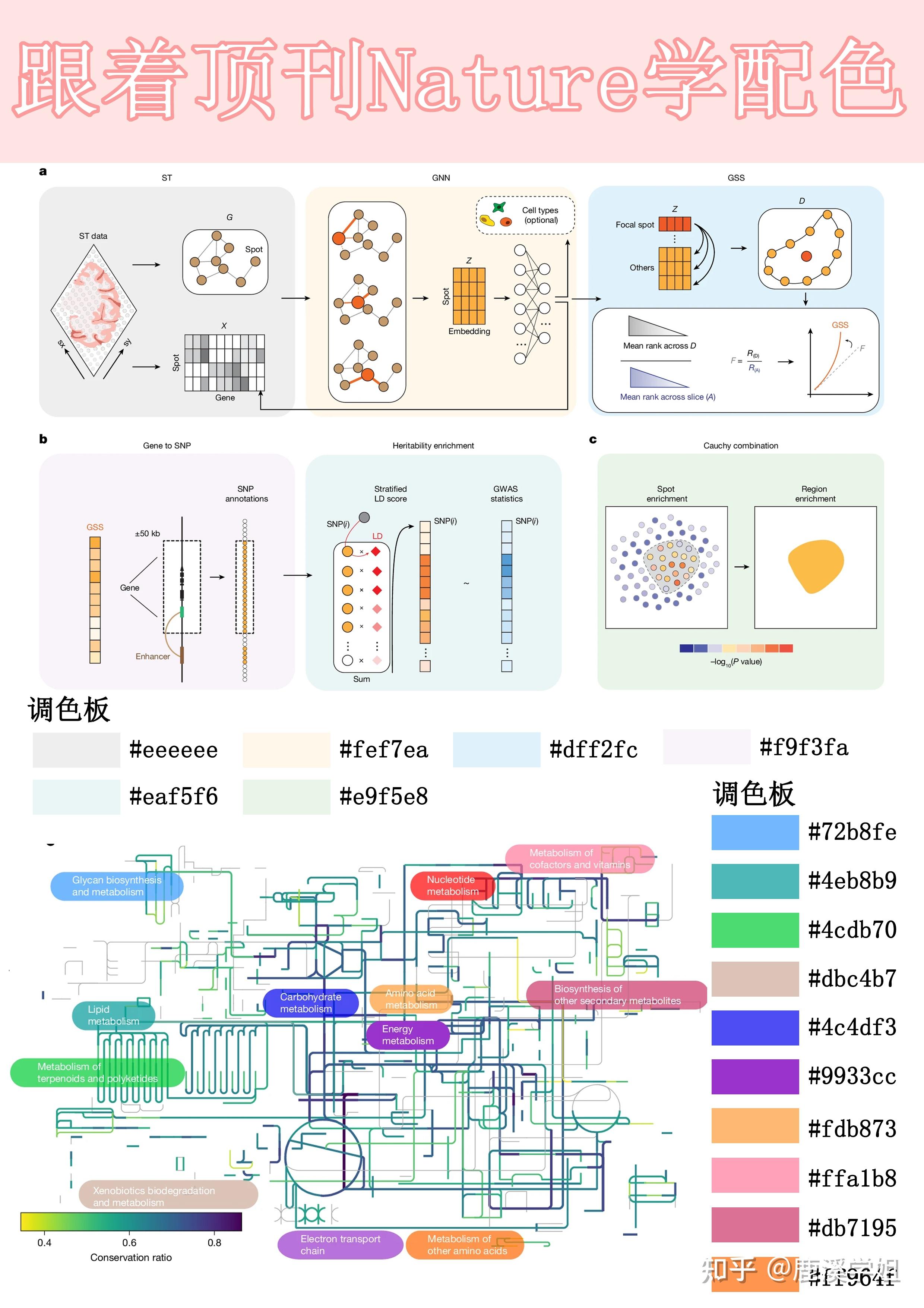 Nature御用配色公式！科研绘图秒变顶刊风，3招搞定高级感 - 知乎