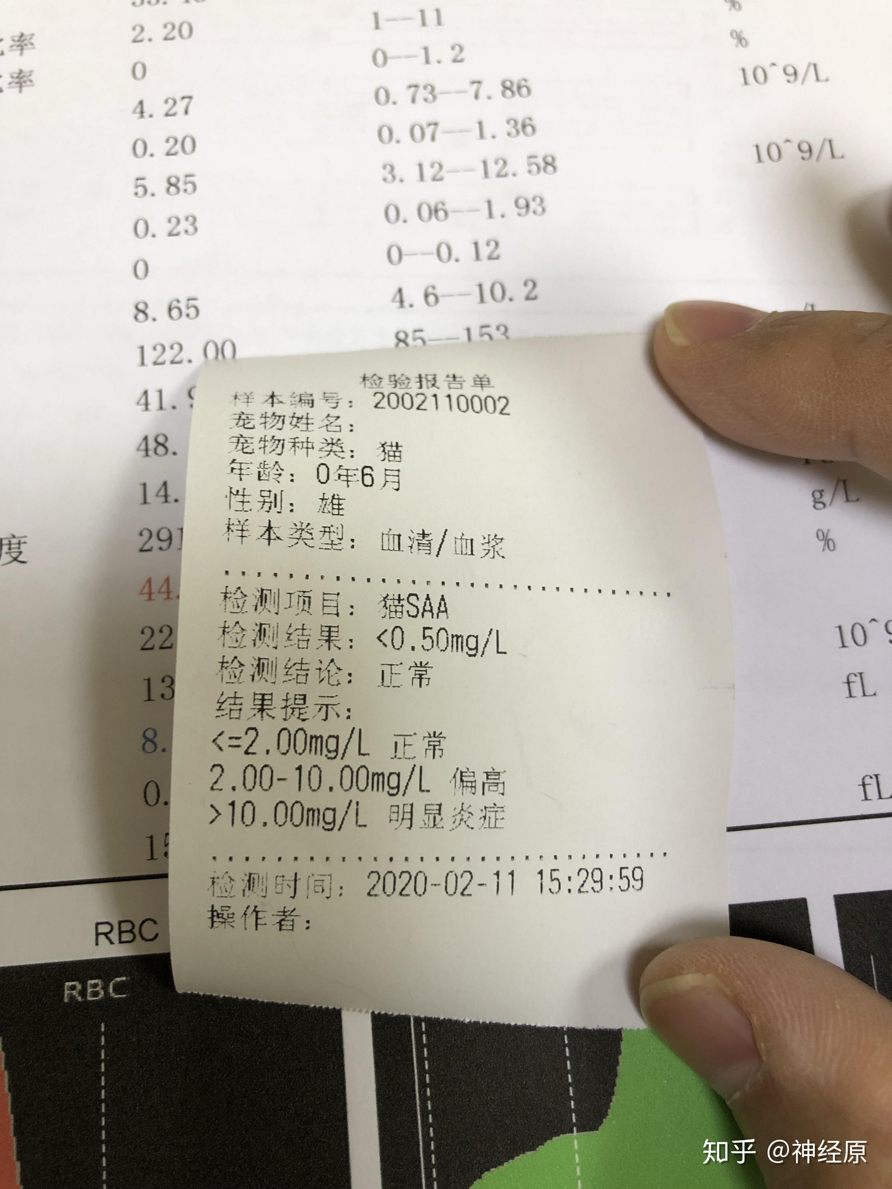 v2-37fd86db85adeba69ee55263915d00c3_r.jpg