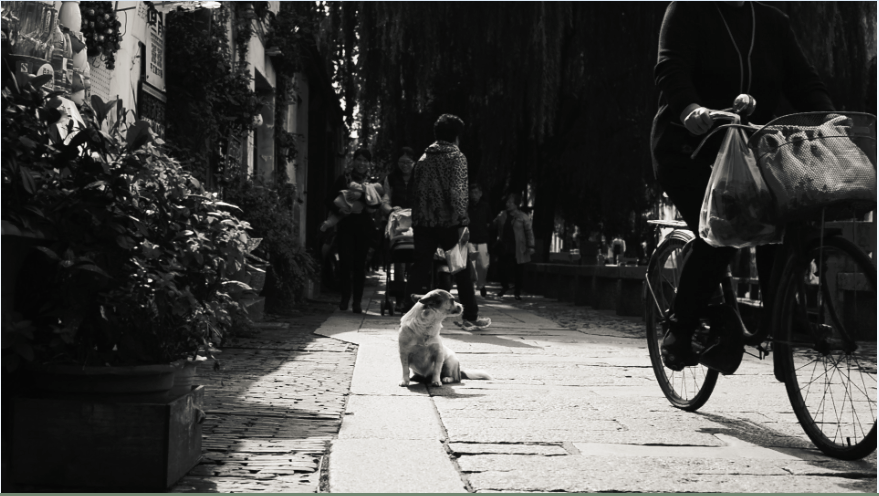 纪录片拍摄使用什么画幅比例比较好?有什么标