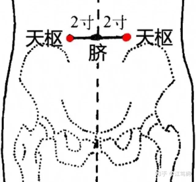 2,天枢穴属胃经,又是大肠的募穴,是调理肠胃的好帮手.