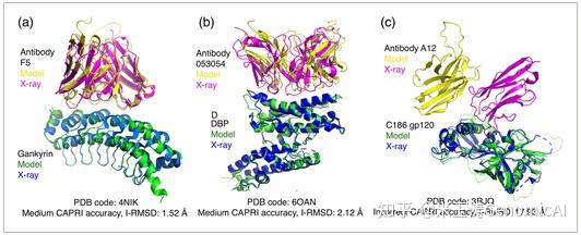 AlphaFold对抗体抗原复合物/TCR-pMHC预测挑战大，对蛋白复合物建模准确率较高 - 知乎