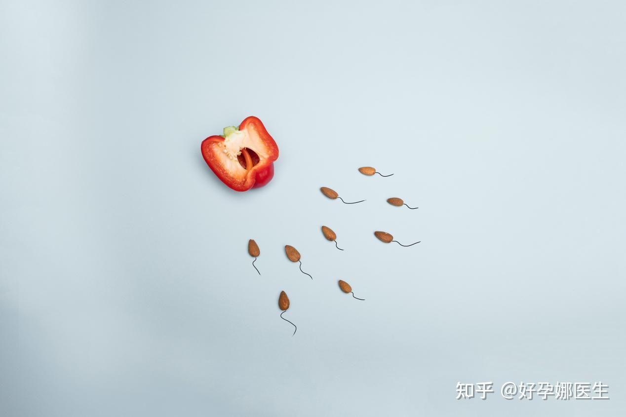 生活中，如何保养好你的卵巢？ - 知乎