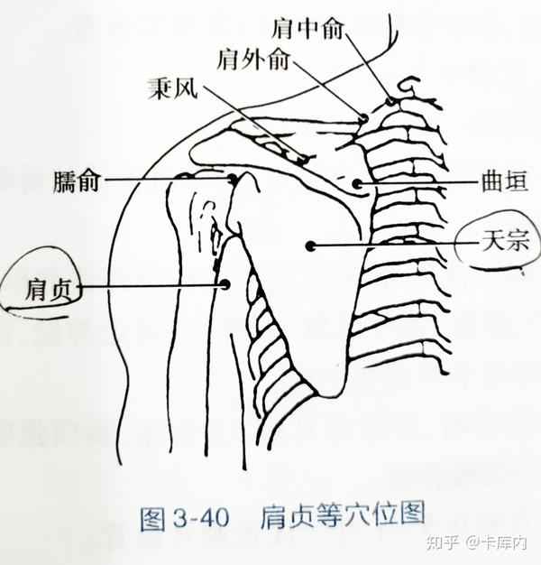 肩颈部腧穴定位