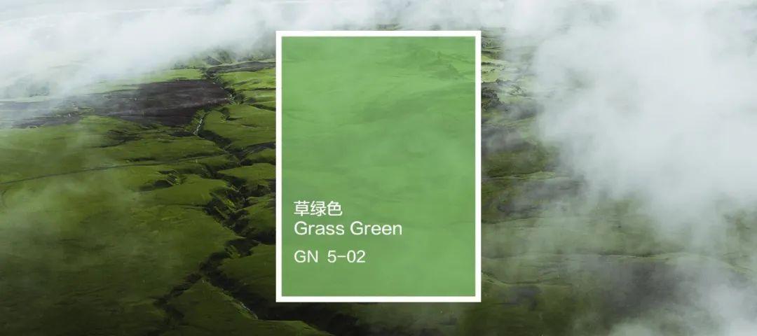 色彩解读:草绿色,拥有古典韵律美感 - 知乎