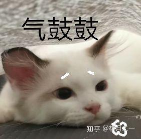 v2-382be423ad77d9a61ca739855c35a80f_b.jpg