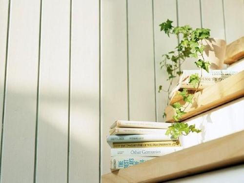 全章节三十之妻苏扬叶慧云全篇连载在线阅读