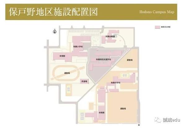 日本大学介绍 到处都是秋田犬 不是 的秋田大学 知乎