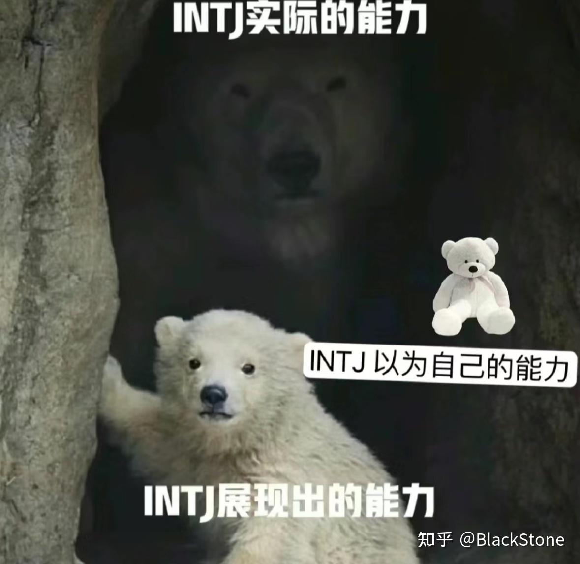INTJ梗图（无水印） - 知乎