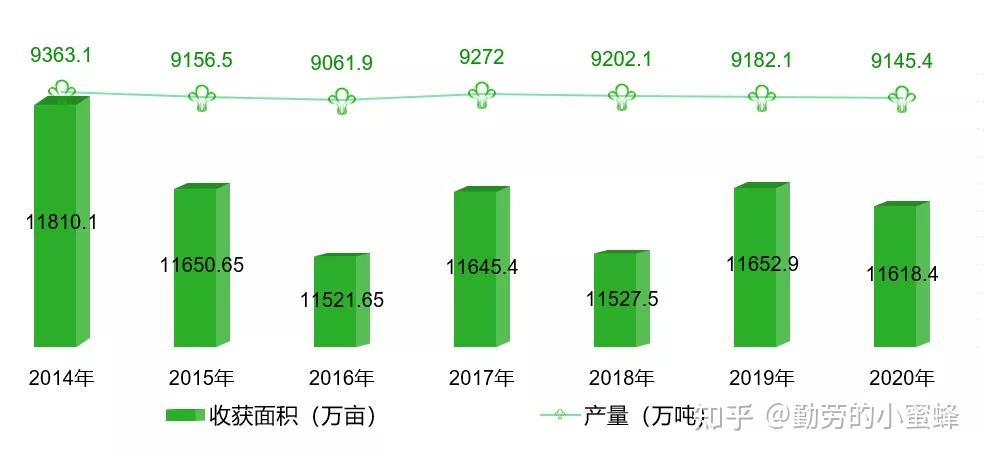 徐薯32红薯产量图片