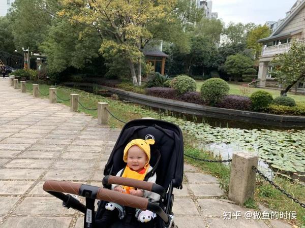 谢谢大家的建议 来分享刚到手的高景观婴儿车bugaboo Fox啦 知乎