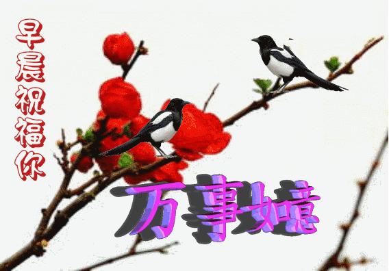2022最新版清晨问候早上好漂亮表情图片 早上好问候语美丽句子