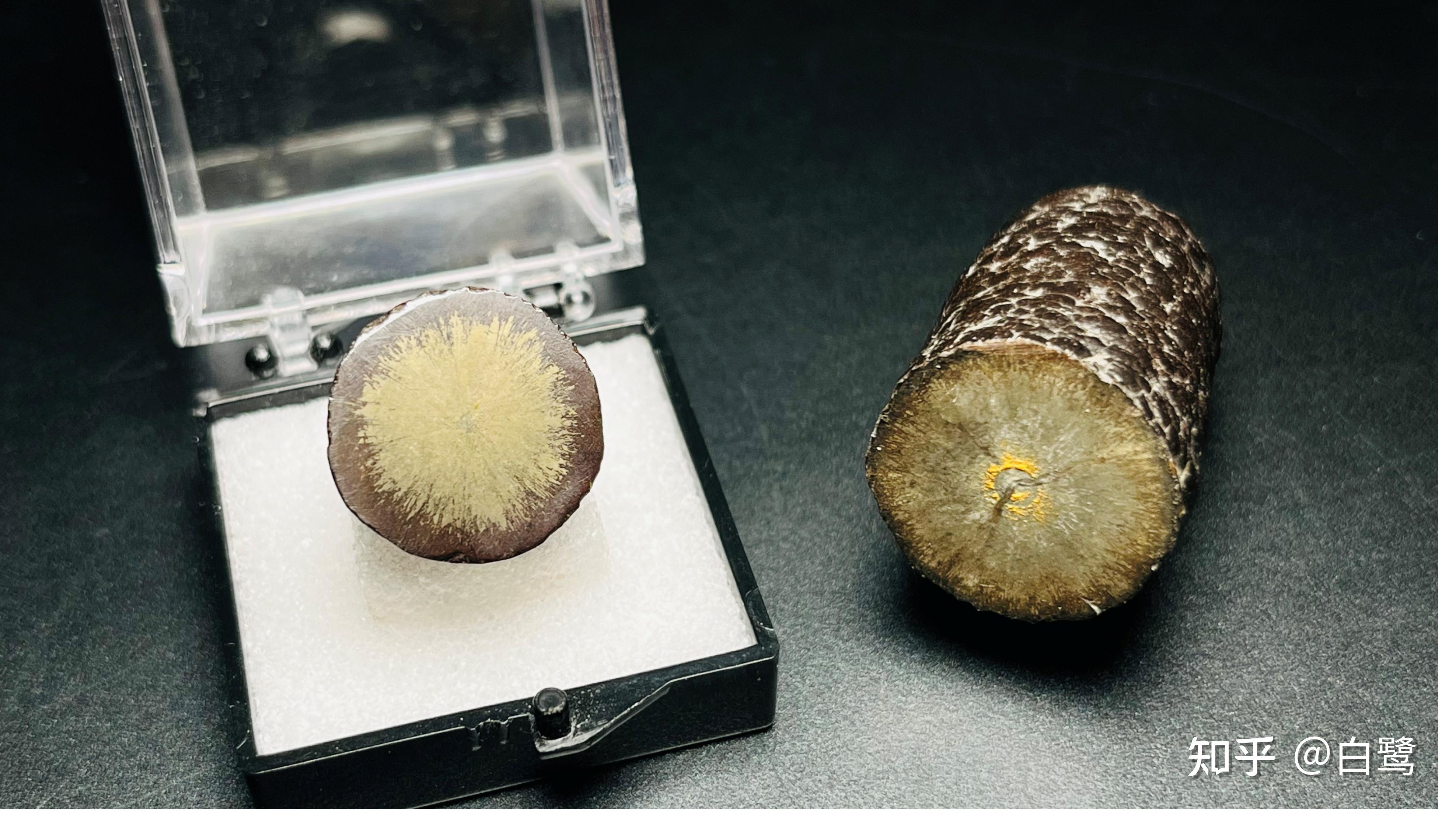 埃及褐铁矿及其他