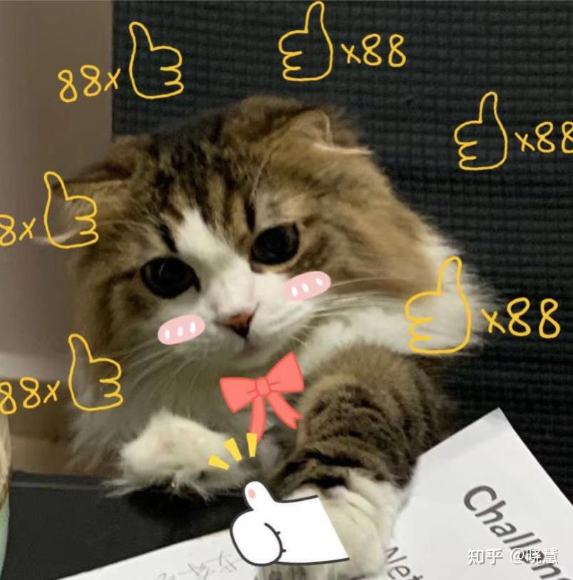 为什么要买switch游戏机 v2-3876a57d26fcafad631e1dad6a2f6da7_r.jpg