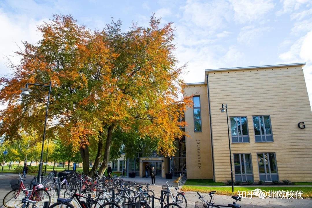 留学瑞典舍夫德大学游戏玩家和游戏开发者的米缸