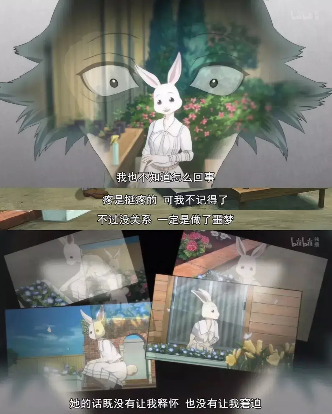 这是他第一次在阳光下见到小春,看到那么小的兔子,增加了雷格西的内疚