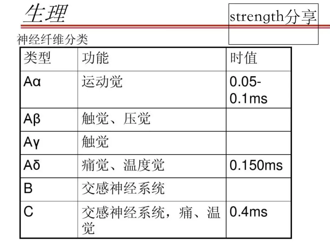 器分佈廣泛,平時處於非激活狀態,在炎症等狀態下其刺激閾值迅速降低