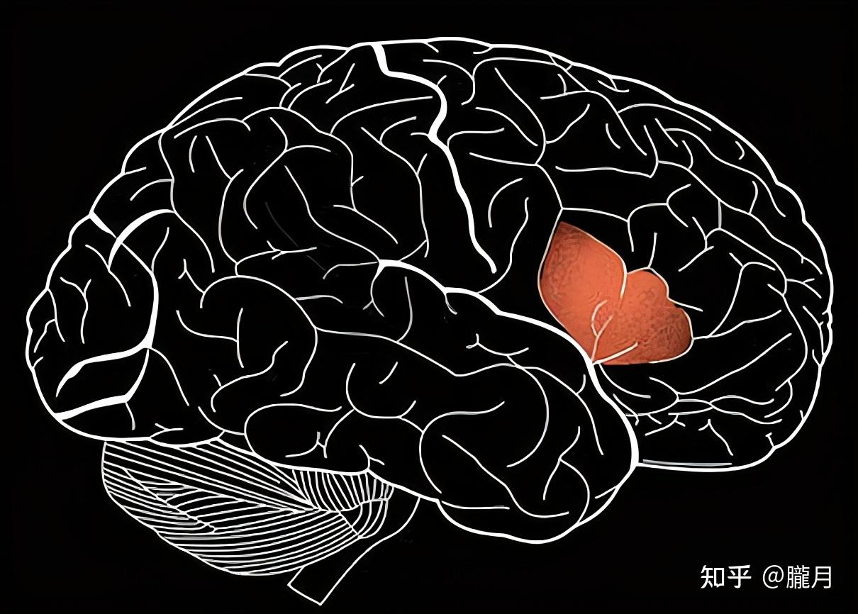 我们在思考时脑海里经常会出现一个声音这个声音是谁的