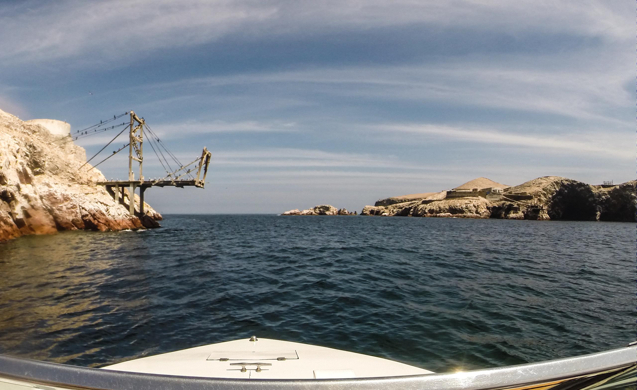 密恐合集来看秘鲁帕拉卡斯自然保护区的神奇生物