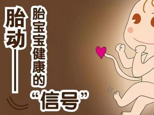 沐禧母婴护理 警惕孕期5种异常胎动 孕妈千万要注意 知乎 沐禧母婴护理 警惕孕期5种异常胎动 孕妈千万要注意 知乎