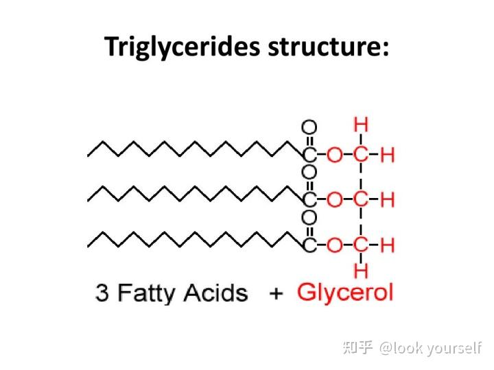 甘油分子式结构简式图片