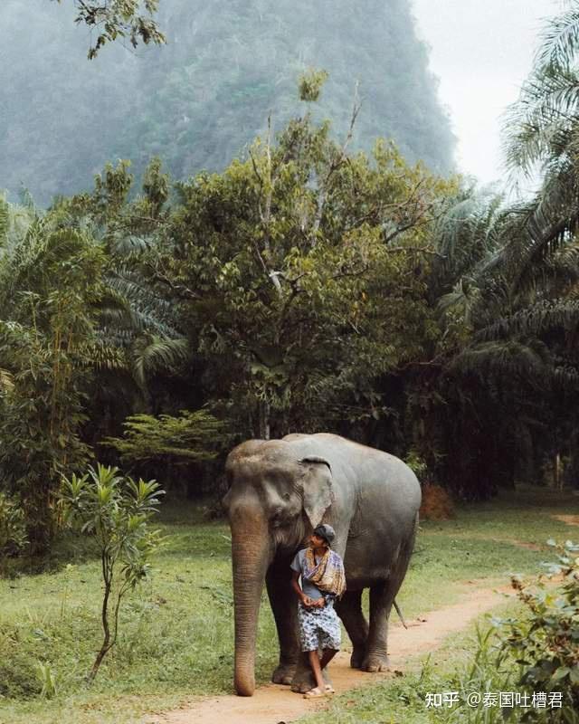 2023 泰国 10 大最佳旅游景点,第一次到泰国去哪里?玩什么?