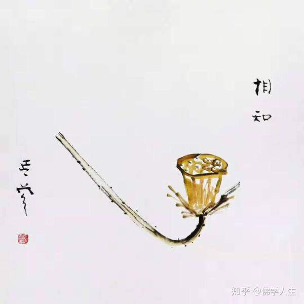 随缘顺势 知乎