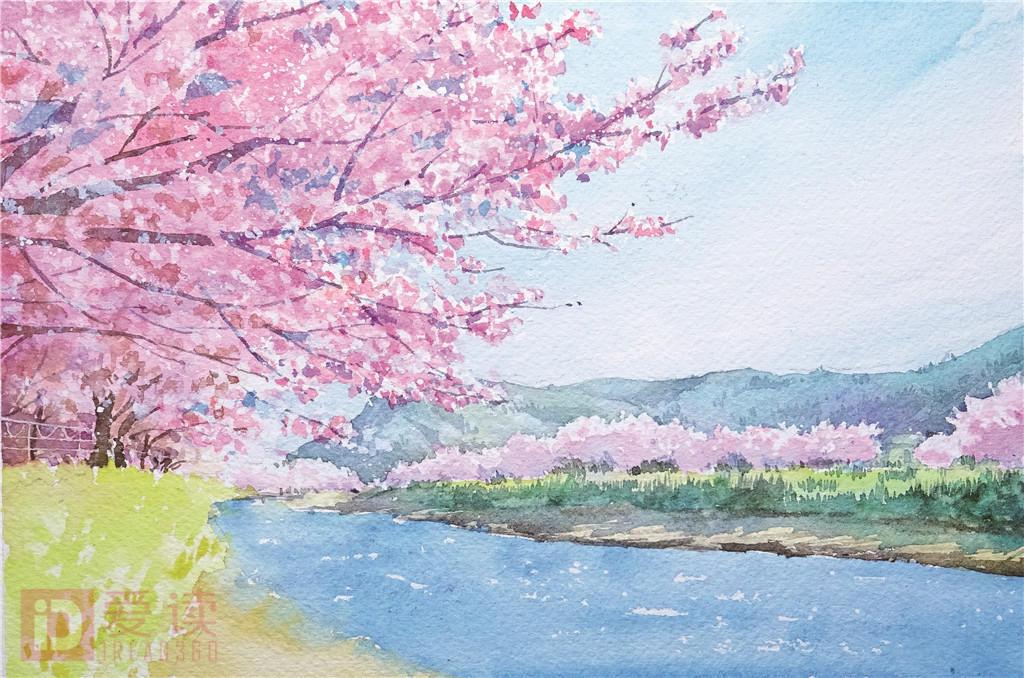 (1)简单的画出线稿,画出山和远景的成片樱花,用留白液把最大的樱花树