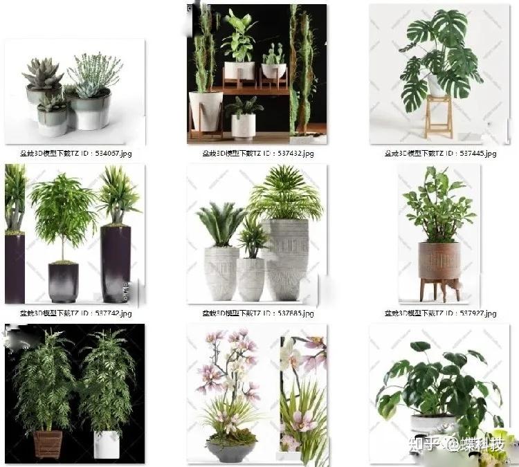 【模型】植物盆栽花卉盆景3d模型 室内家装绿植插花盆景花盆3dmax模型 - 知乎