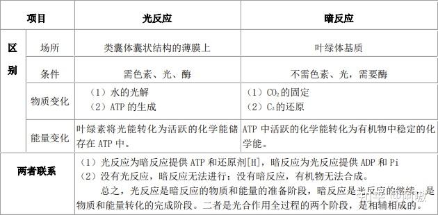 高中生物必修一•光合作用与能量转化(二) - 知乎