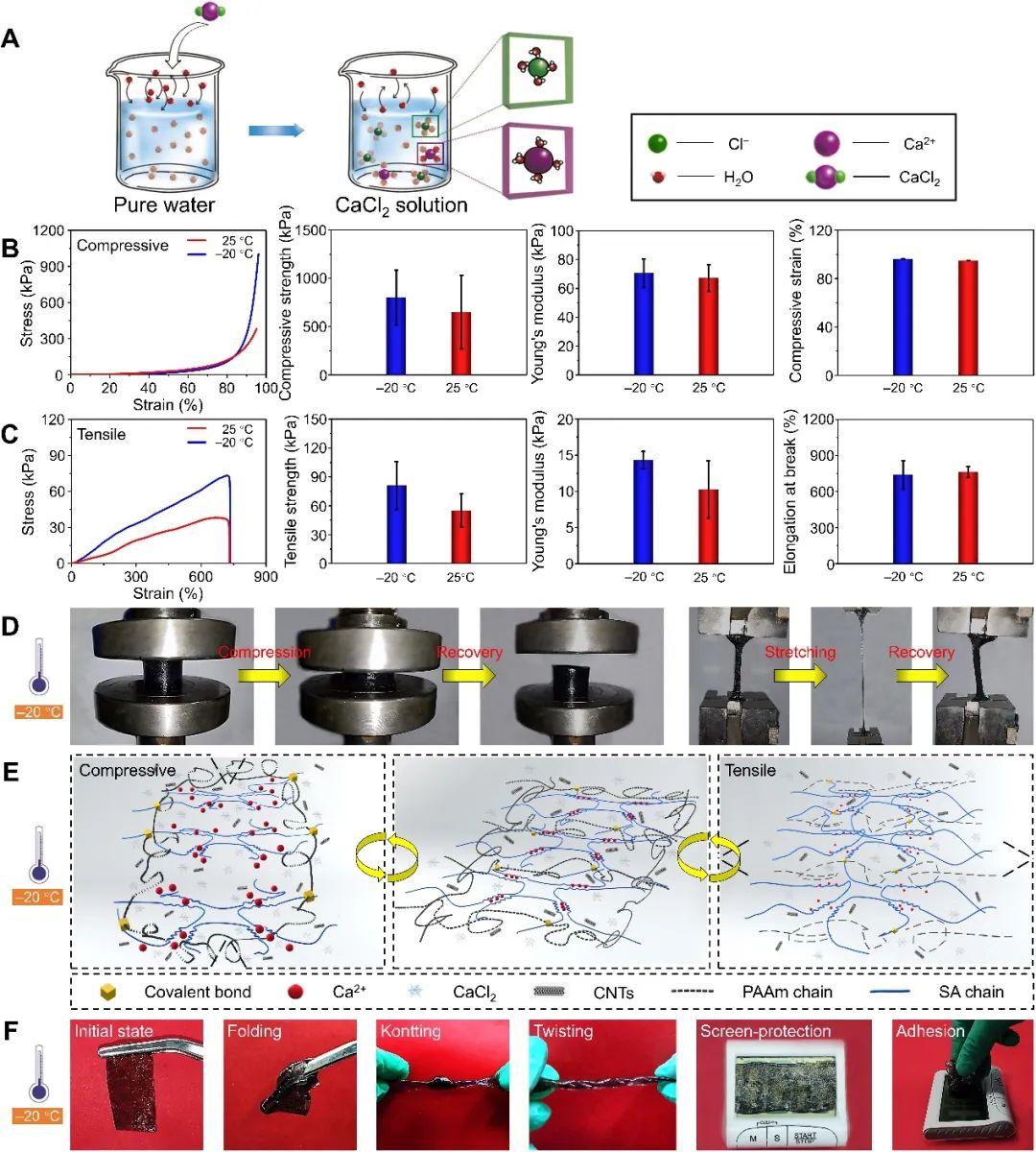 福州大学杨黄浩教授和哈佛医学院Yu Shrike Zhang教授：功能化双网络水凝胶，用于远程驱动和低温应变传感 知乎