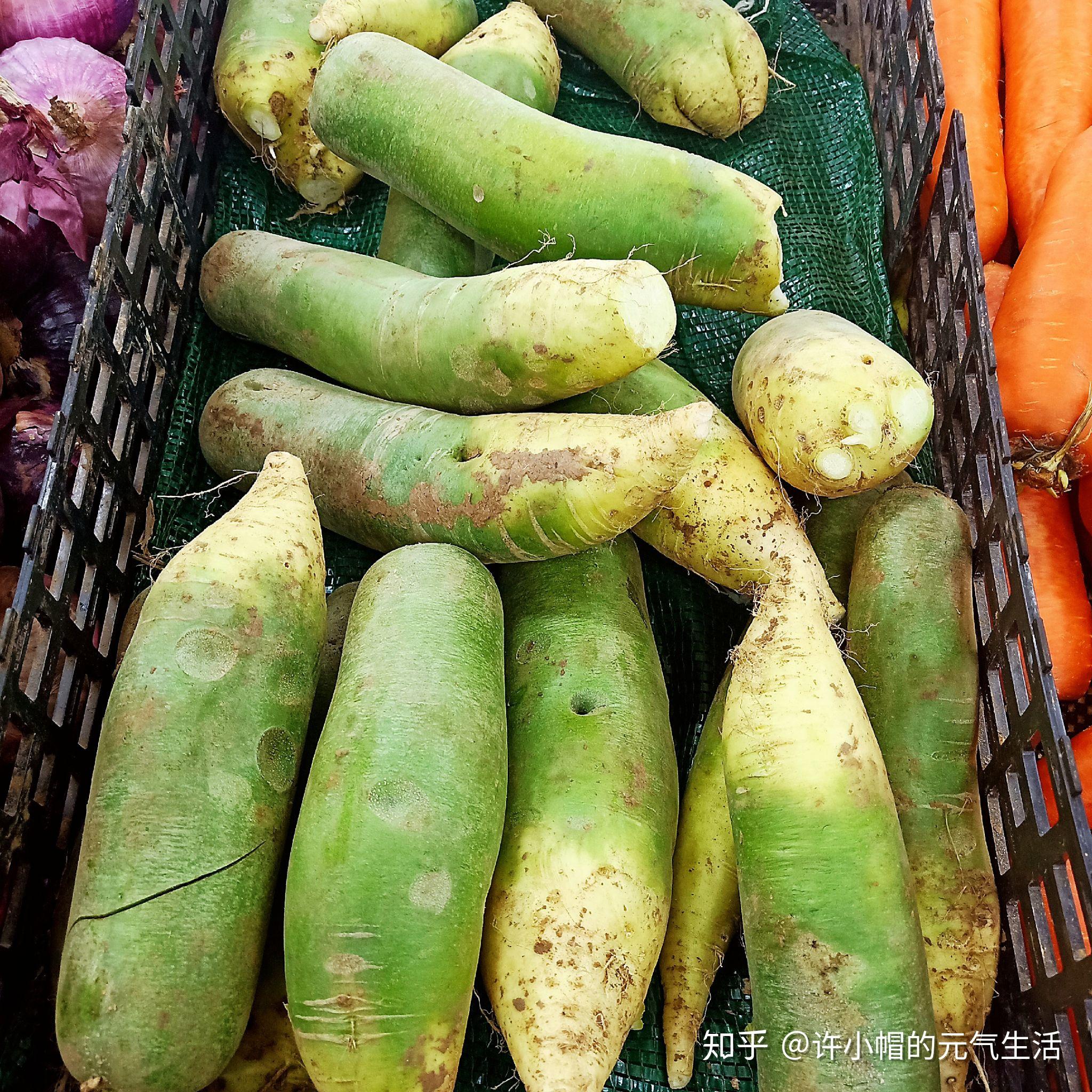 我买到青皮萝卜啦