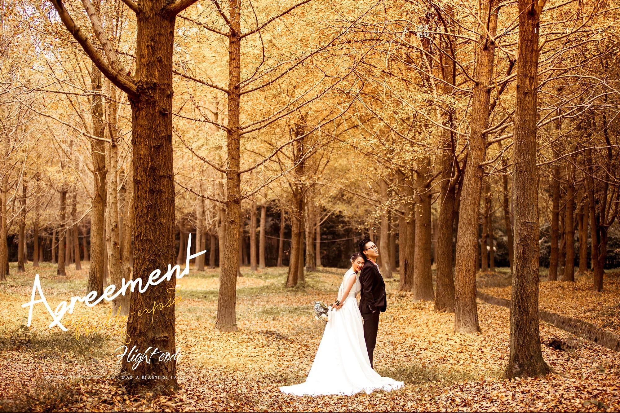 成都婚纱摄影客片冬季银杏篇
