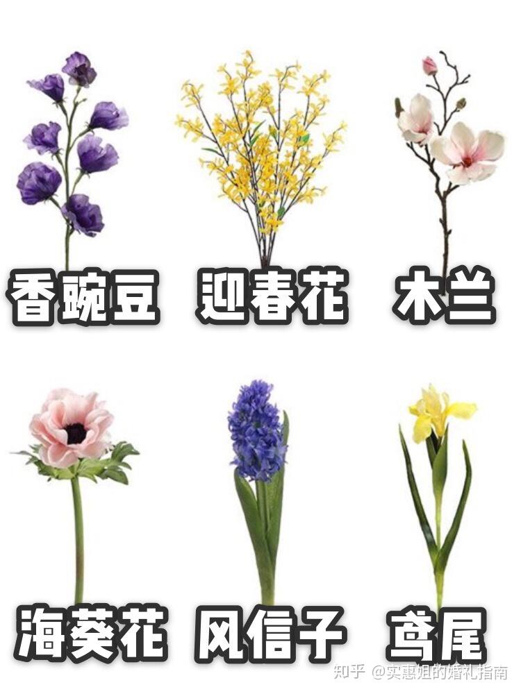 怎么搭花朵_花朵怎么画(3)