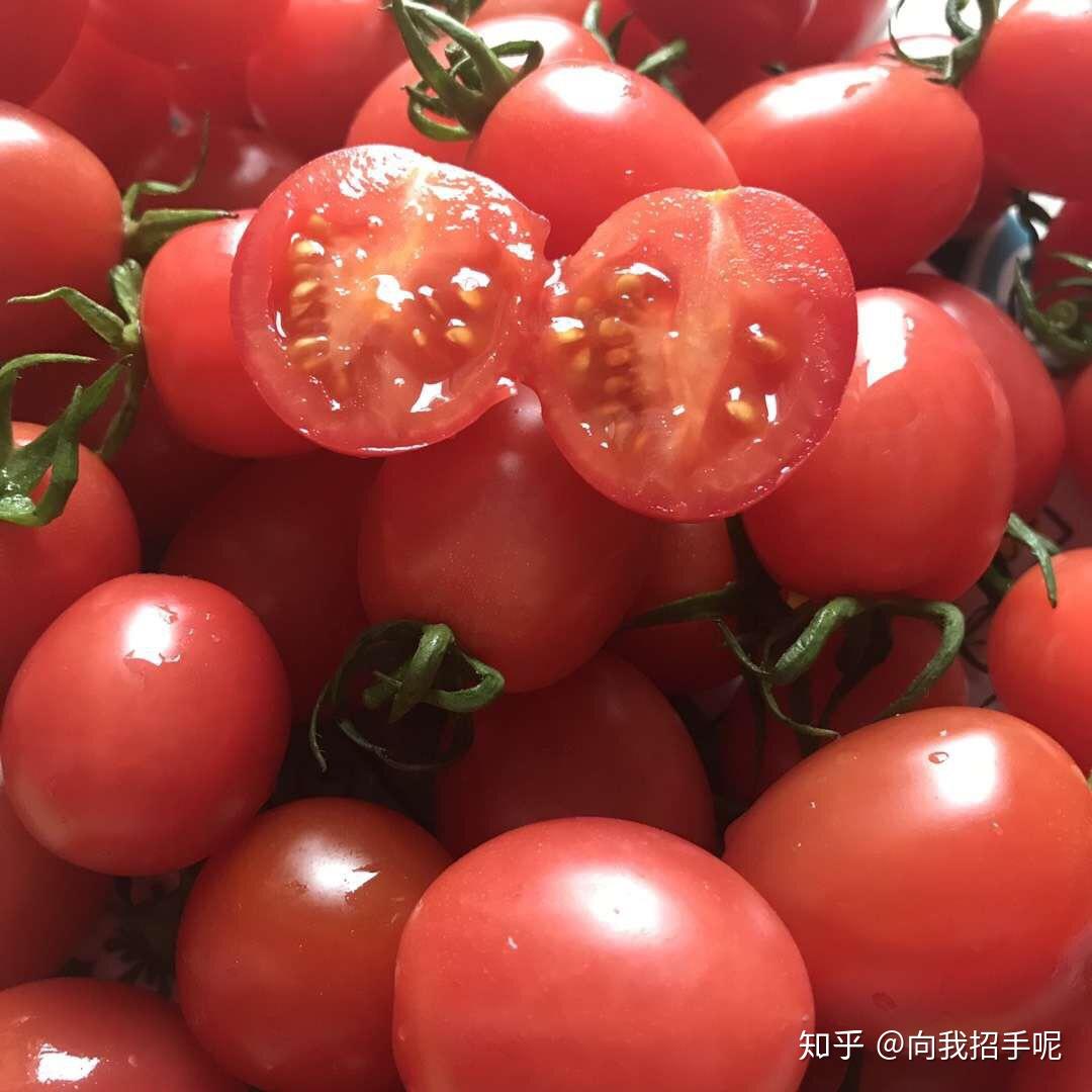 三色樱桃小番茄|摄影|美食摄影|陈默工作室_原创作品-站酷ZCOOL