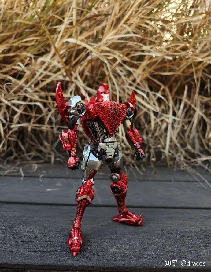 赛星小报社——本周最新的tf资讯整理 - 知乎