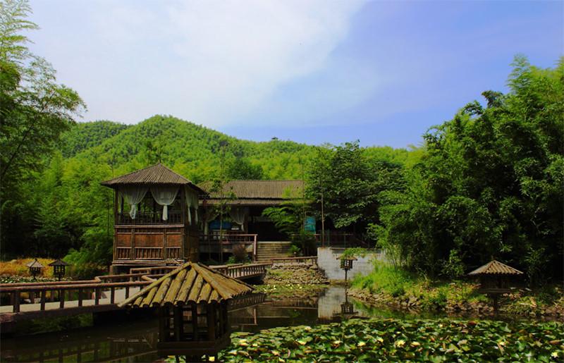 来天下银坑看万亩竹海感受一回大侠风采低音号旅游