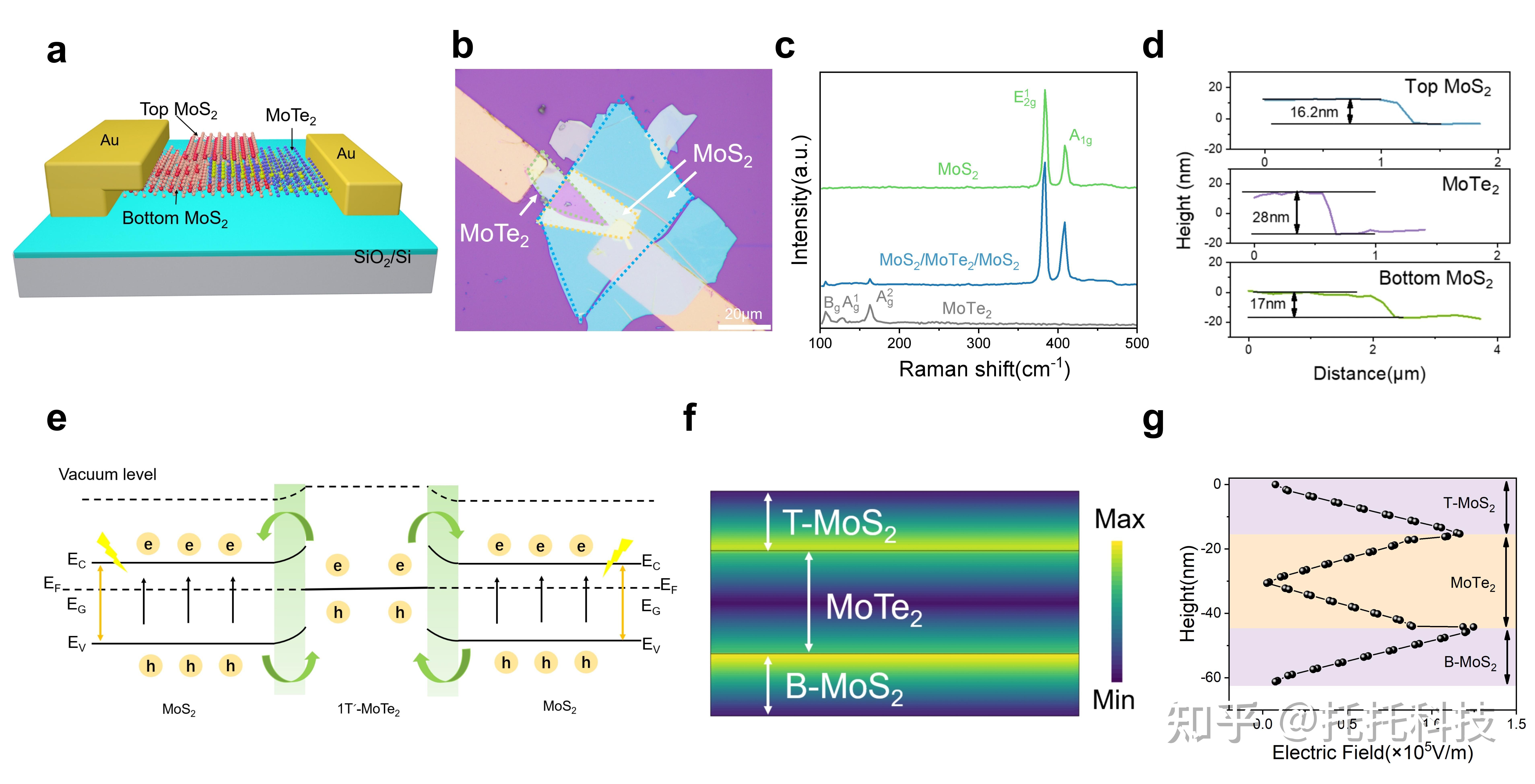 客户成果丨复旦大学《Advanced Functional Materials》：基于全耗尽T-MoS2/MoTe2/B-MoS2异质结的高 ...