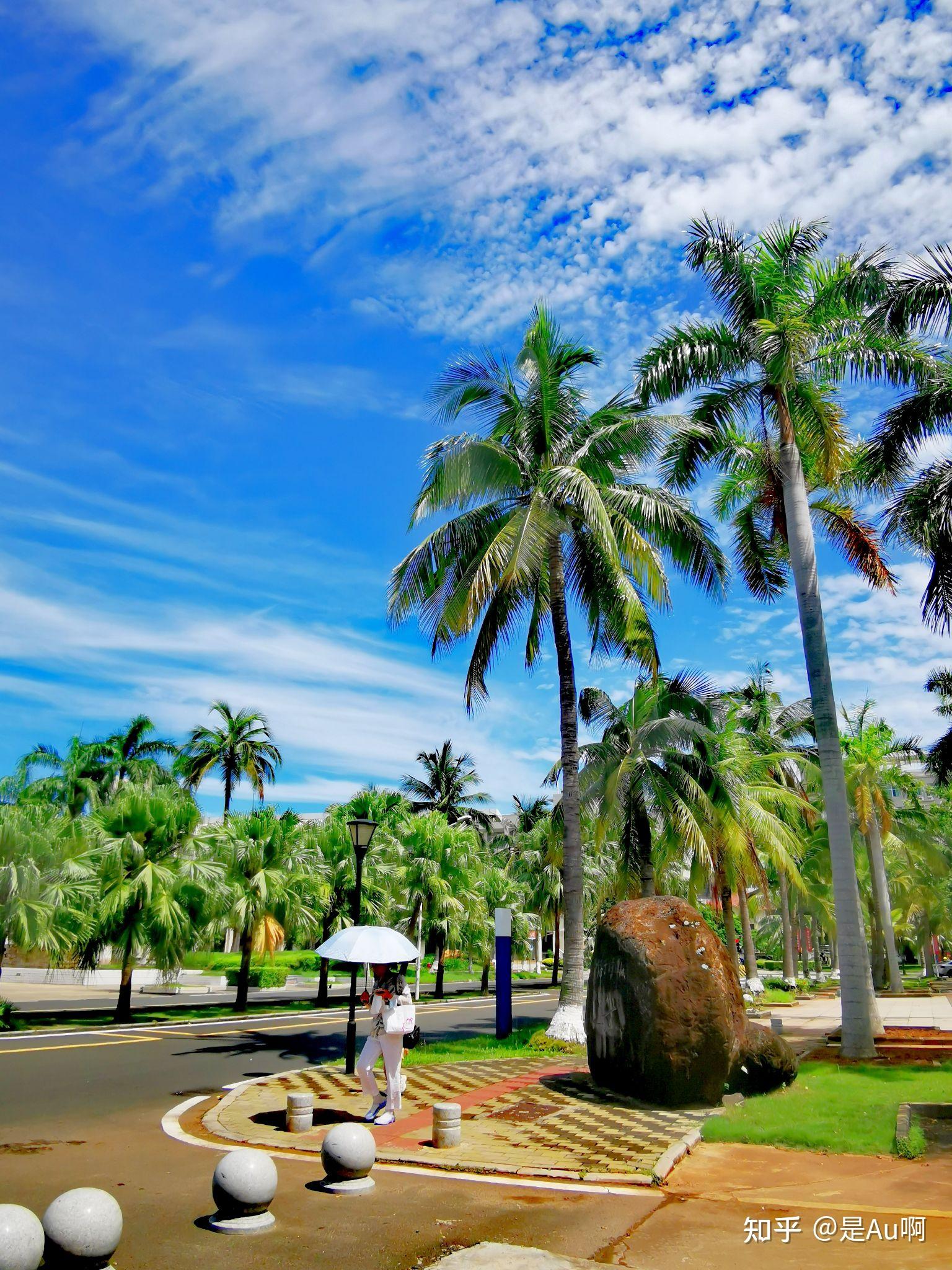 海口之蓝天白云绿地