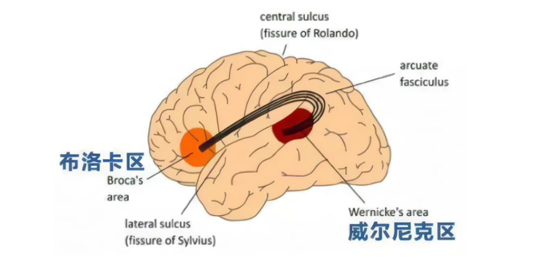 李航:人工智能需要怎样的计算范式和理论? - 知乎