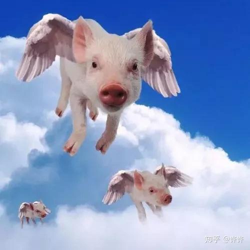 推背图与猪上树