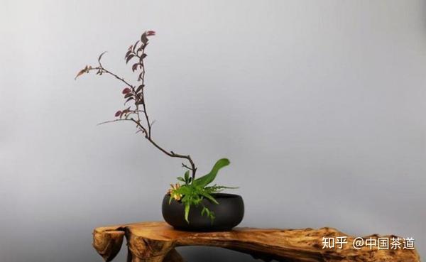 文化 茶室插花的目的 知乎