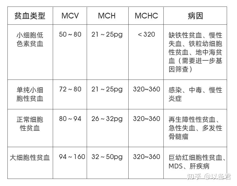 贫血分类表格图片